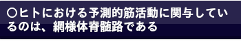 環境と身体の空間関係の知覚