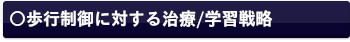 歩行の視覚運動制御