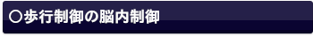 歩行の視覚運動制御