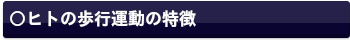 歩行の視覚運動制御