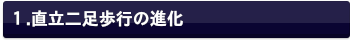 歩行の視覚運動制御
